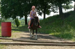 Shetlandský pony